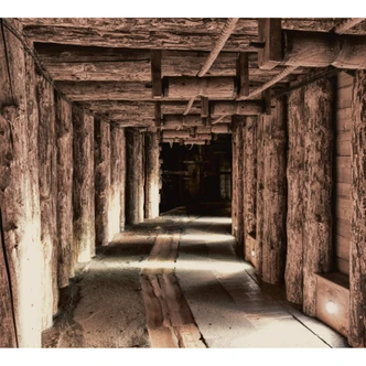 Wall Mural Mine 