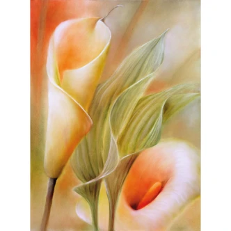 Fototapete Schmucker - Callas - 192x260 cm 