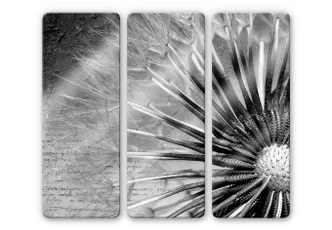 Tableau en verre - Pissentlit (3 parties) 
