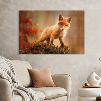 Tableau sur verre Adamec - Jeune renard dans la forêt 