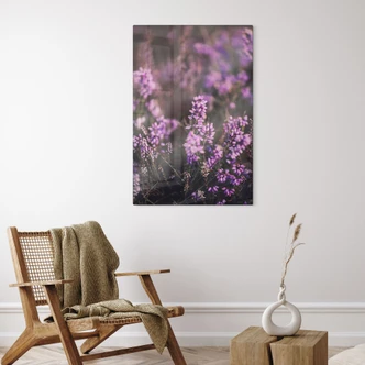 Glasschilderijen Paarse heidebloesem in warm licht - Annie 