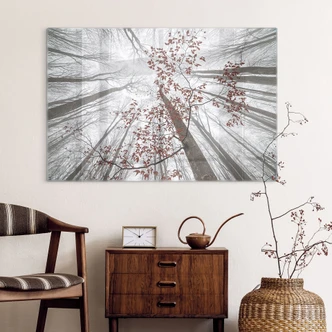 Tableau sur verre Cimes d'arbres aux feuilles rouges - Coman 