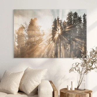 Tableau en verre Rayons de lumière dans la forêt - Eisenmann 