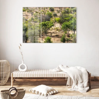 Tableau en verre Paysage de savane en Afrique - Hugonnard 