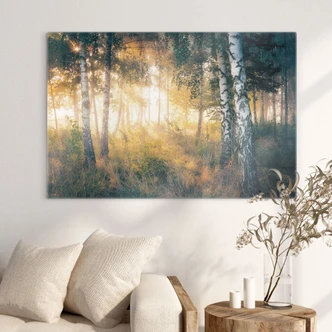 Tableau sur verre Soleil dans la forêt de bouleaux - Kado 