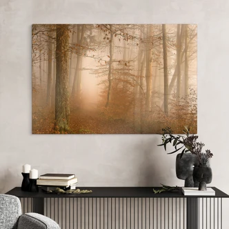 Glasbild Wald & Bäume - Dunst und Licht im herbstlichen Wald - Maier 