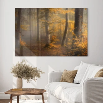 Tableau en verre Feuilles d'or dans la forêt brumeuse - Maier 