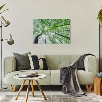 Tableau sur verre Pavlasek - Cime des arbres verts 