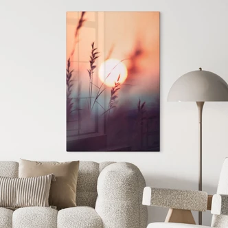 Tableau en verre Herbes sous la lumière d'un soleil ardent - Treechild 