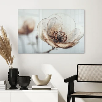 Glasschilderijen Droge Bloesem Beige Natuur Poëzie - Treechild 