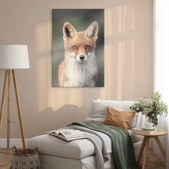 Glasschilderij van Duijn - Fox Eyes Glasschilderij van Duijn - Fox Eyes