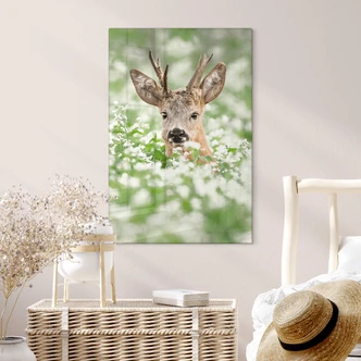 Glasschilderij van Duijn - Jong Hertje Glasschilderij van Duijn - Jong Hertje