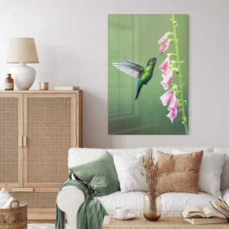Glasschilderij van Duijn - Kolibrie bij Roze Bloem Glasschilderij van Duijn - Kolibrie bij Roze Bloem