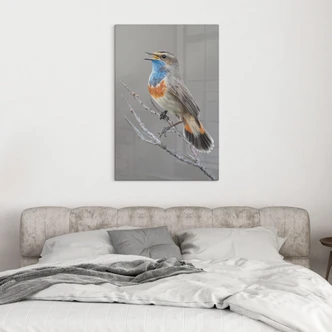 Glasschilderijen zingende blauwborst - van Duijn Glasschilderijen zingende blauwborst - van Duijn