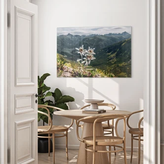 Tableau sur verre Edelweiss blanc des Alpes sur la montagne 