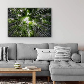 Glasbild Hugonnard - Wald in Japan 