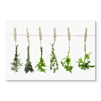 Spritzschutz Kräuter 