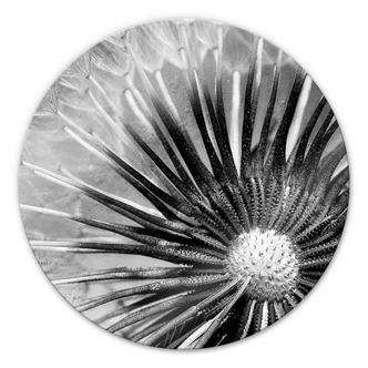 Glasbild Pusteblumen-Poesie - rund 