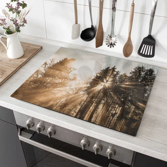 Piastra coprifornello raggi di luce nella foresta | motivo natura per la cucina - Eisenmann 