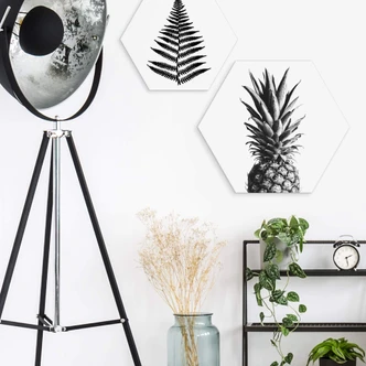 Hexagon - Alu-Dibond 1X Studio - Ananas 