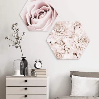 Hexagon Dibond 1X Studio - Rose 
