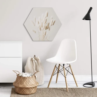 Hexagon Dibond 1X Studio - Dry Grass 