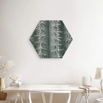 Hexagon Dibond 1X Studio - Cactus Hexagon Dibond 1X Studio - Cactus