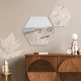 Hexagon Dibond 1X Studio - in de Duinen 