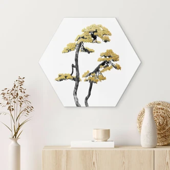 Hexagon Dibond Amini - Bonsai 