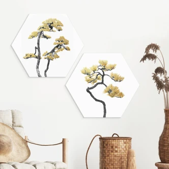 Hexagon Dibond Bonsai in balans - Amini 