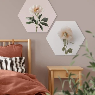 Hexagon Dibond Annie - The Rose 