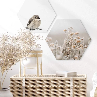 Hexagon Dibond Annie - Ice Flowers 