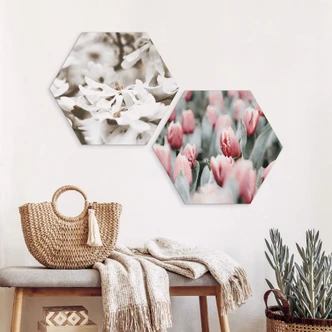 Hexagon Dibond Annie - Spring Tulips 