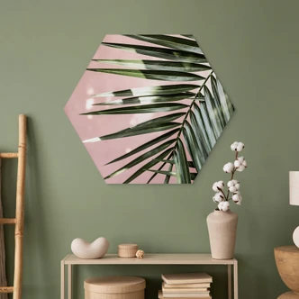 Hexagon Dibond Palmblad voor roze muur - Böhmer 