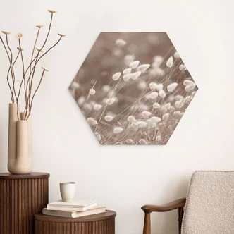 Hexagon Wandbild Zarte Gräser im Herbstlicht - Collins - Alu-Dibond 