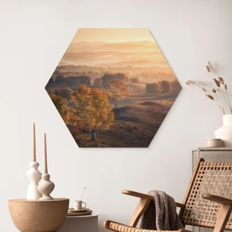 Wanddecoratie Berkenbomen in de gouden ochtenddauw - Cui - Alu-Dibond 