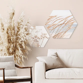 Hexagon Dibond - in de Duinen 