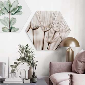 Hexagon Dibond Dandelions 