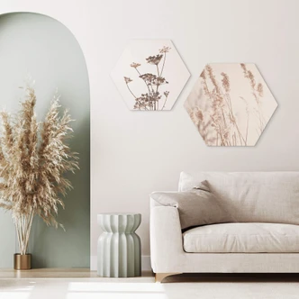 Hexagon Dibond Sunlight Grass 