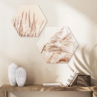 Hexagon - Alu-Dibond Gräser im Wind 