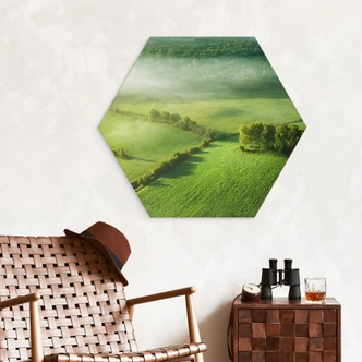 Hexagon Wandbild Idyllische Felder im Nebel - Keller - Alu-Dibond 