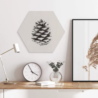 Hexagon - Alu-Dibond Kiefernzapfen Hexagon - Alu-Dibond Kiefernzapfen