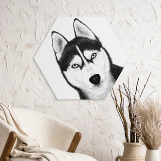 Zeshoekige muurschildering Siberische husky - hondenportret - Korenkova - aluminium dibond Zeshoekige muurschildering Siberische husky - hondenportret - Korenkova - aluminium dibond