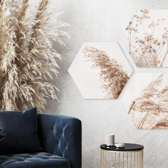 Hexagon Dibond Pampasgras 