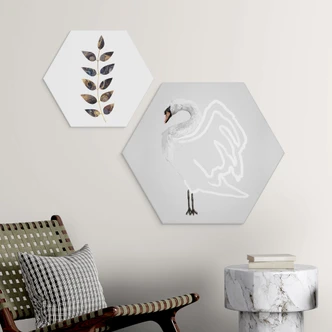 Hexagon Dibond Zwaan illustratie - Roberg 