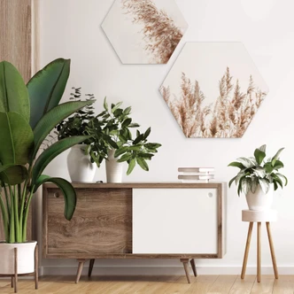 Hexagon Dibond Rietgrassen 