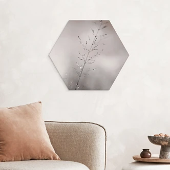 Zeshoek Wanddecoratie grasspriet met dauwdruppels - Sillen - Alu-Dibond Zeshoek Wanddecoratie grasspriet met dauwdruppels - Sillen - Alu-Dibond