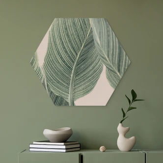 Hexagon Dibond Calathea plant - Sisi & Seb 