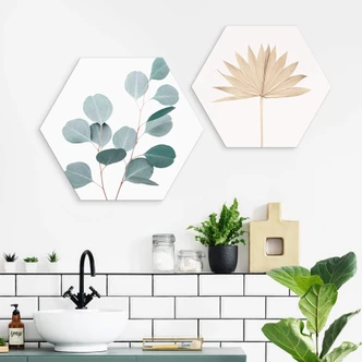 Hexagon Dibond Sisi & Seb - Blue Eucalyptus 