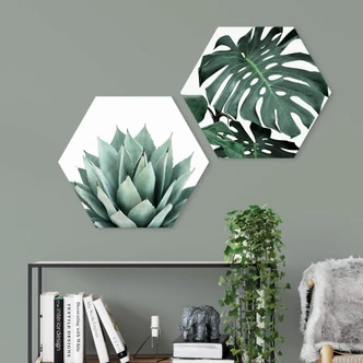 Hexagon Dibond Sisi & Seb - Monstera 